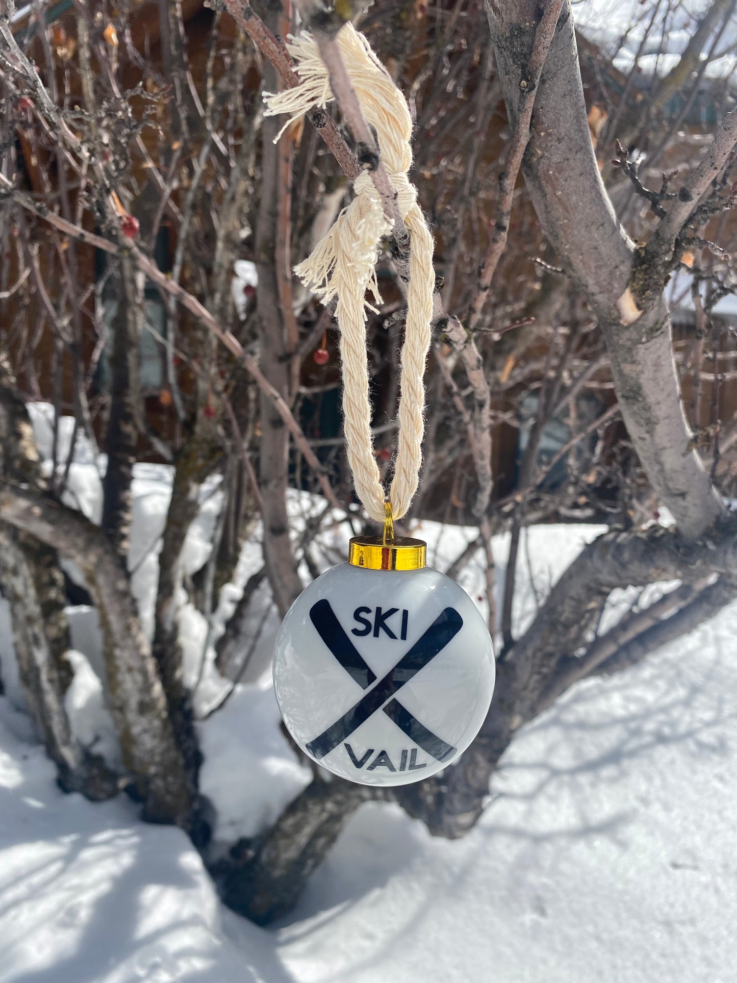 Ornament - Ski Vail
